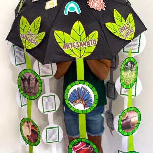 Guarda-Chuva Povos Indígenas